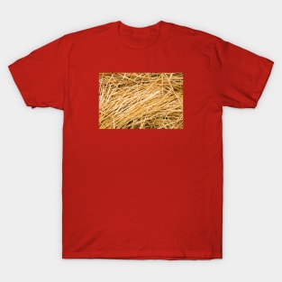 Dried yellow grass T-Shirt